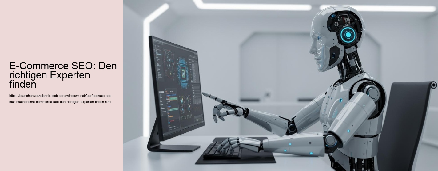E-Commerce SEO: Den richtigen Experten finden
