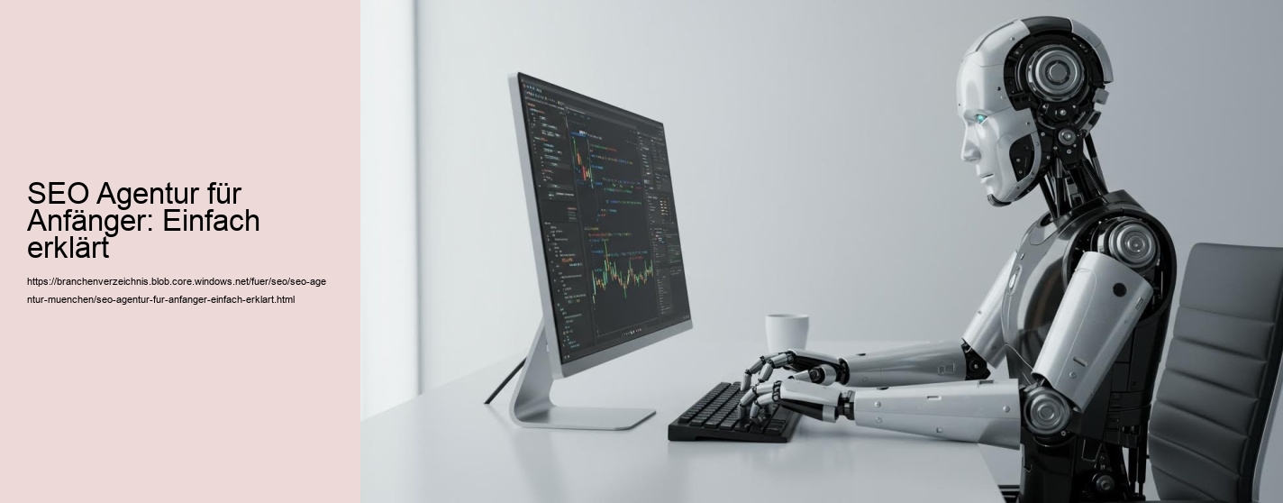 SEO Agentur für Anfänger: Einfach erklärt