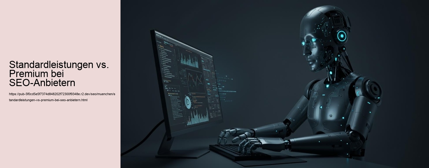 Standardleistungen vs. Premium bei SEO-Anbietern